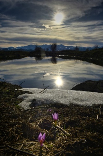 Bahar geldi görsel şölen başladı 11
