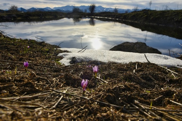 Bahar geldi görsel şölen başladı 6