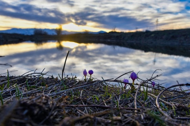 Bahar geldi görsel şölen başladı 7