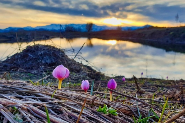 Bahar geldi görsel şölen başladı 9