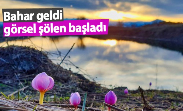 Bahar geldi görsel şölen başladı 1
