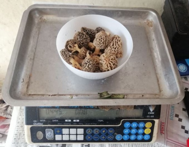 Bağışıklığı güçlendiriyor! Tezgahta yarım saatte tükeniyor 8