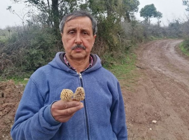 Bağışıklığı güçlendiriyor! Tezgahta yarım saatte tükeniyor 7