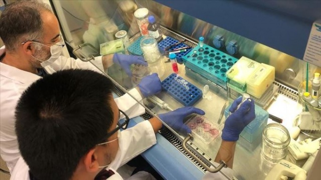 Koronavirüsün zayıf noktası bulundu 10