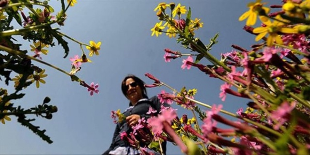 Meteoroloji paylaştı: Sıcaklıklar artıyor! 2