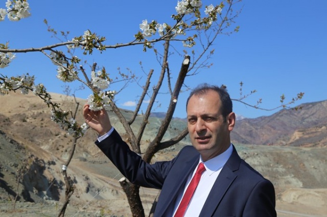 Yusufeli'nde çiçekler açtı, ağaçlar meyve verdi 4