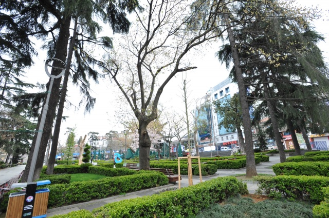 Trabzon sokaklarında son durum! Zorluoğlu teşekkür etti 14