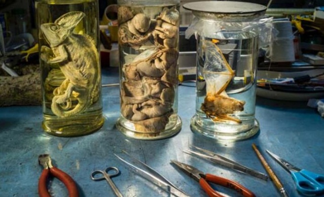 Şok İddia! koronavirüs ABD ve Çin'in ortak deneyinden yayıldı 2