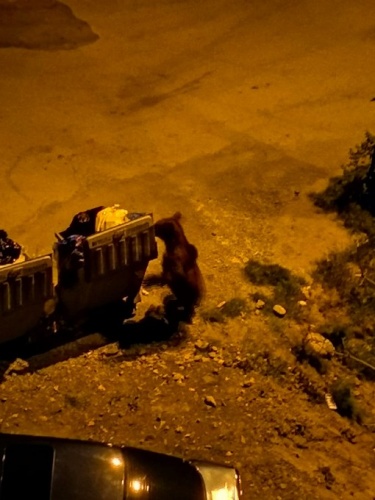 Şehre indiler, ortalığı birbirine kattılar 6