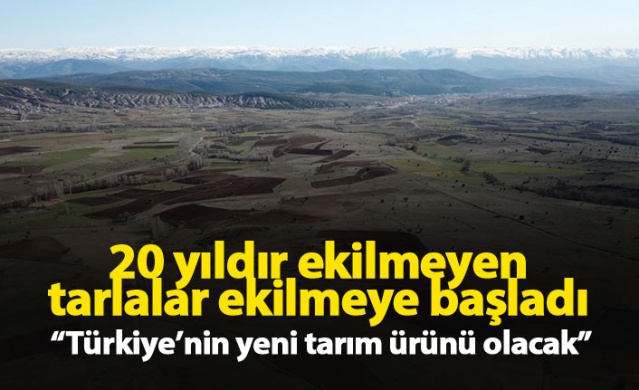 20 yıldır ekilmeyen tarlalar ekilmeye başlandı 1