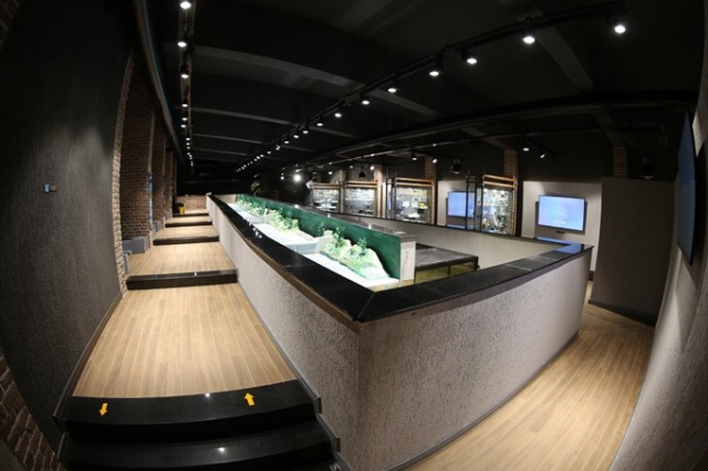 Dünyada bir ilk, Trabzon'da açıldı 20