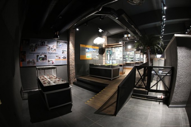 Dünyada bir ilk, Trabzon'da açıldı 18