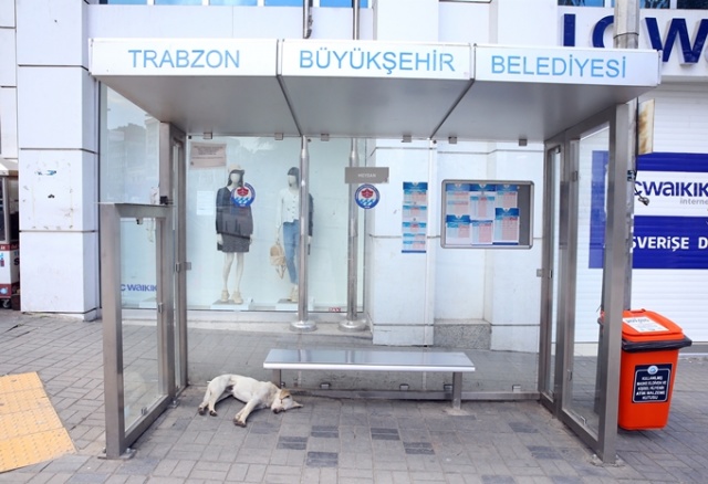 Trabzon sokakları sessiz kaldı 2