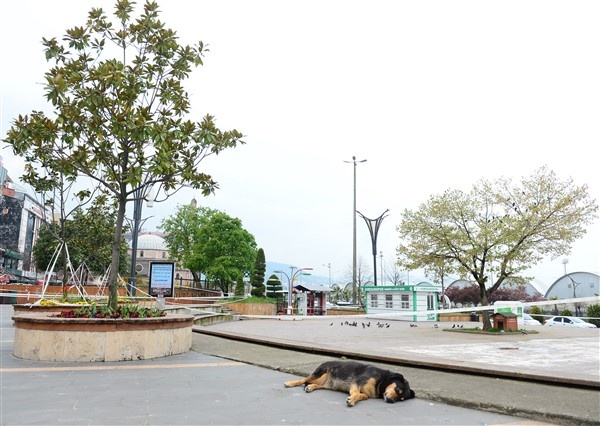 Doğu Karadeniz illerinde sokaklarda son durum 3