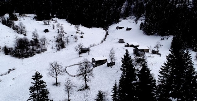 Trabzon'da Koronavirüse karşı 'yayla' önlemi 11