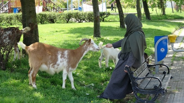 Trabzon'da 65 yaş üstü vatandaşlar nefes aldı 34