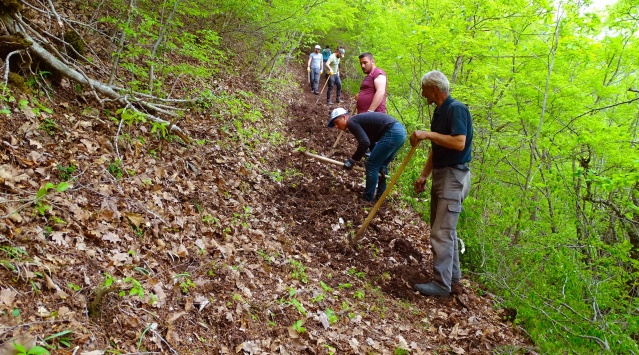 Artvin'de en uzun ekoturizm yolu Karadeniz'de hayata geçiyor 7