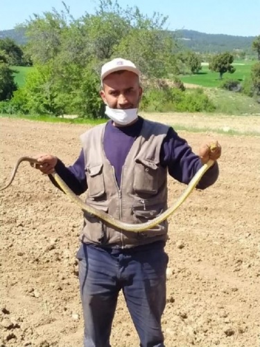 Eliyle yakaladı! Tam 1.5 metre. 3