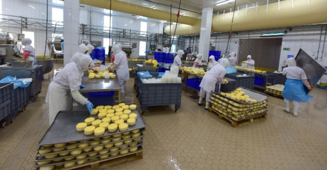 Vali Ustaoğlu ve TTSO Başkanı Hacısalihoğlu'ndan Beşikdüzü OSB'ye çıkarma 14