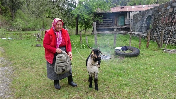 Karadeniz'de yayla göçü erken başladı 16