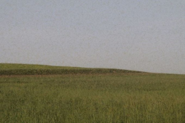 Köyü bir anda sinekler bastı! 2