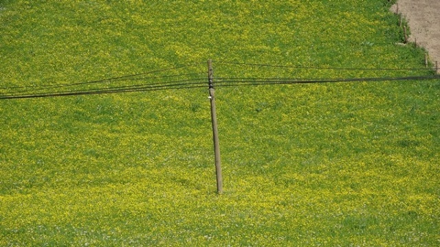 Hamsiköy sessizliğe büründü 8