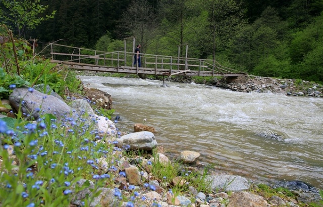 Uzungöl böylesini görmedi 18