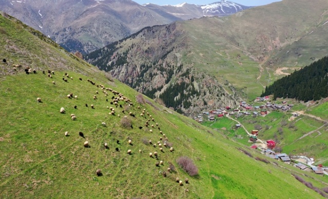 Uzungöl böylesini görmedi 16