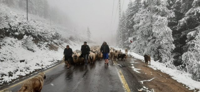 Doğu Karadeniz'de mayıs ayında kar yağdı 17