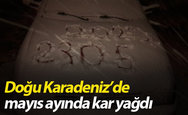 Doğu Karadeniz'de mayıs ayında kar yağdı 1