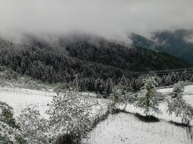Doğu Karadeniz'de mayıs ayında kar yağdı 12