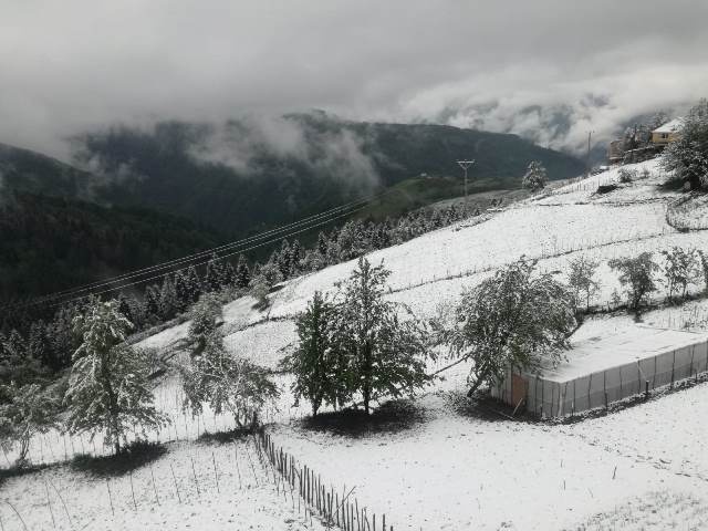 Doğu Karadeniz'de mayıs ayında kar yağdı 14