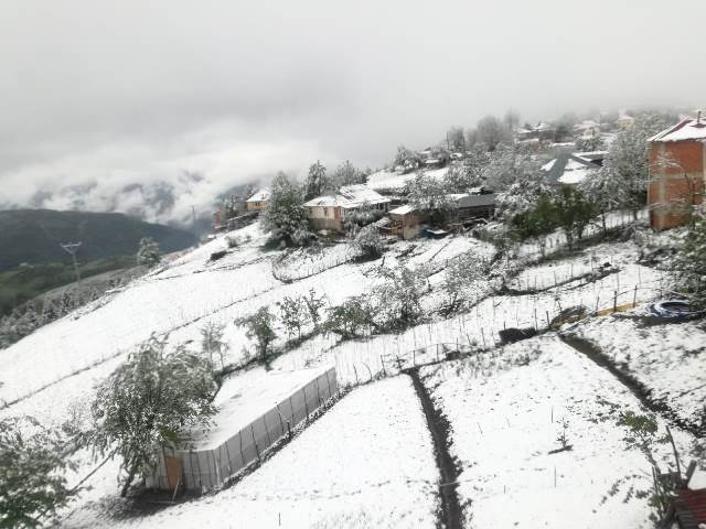 Doğu Karadeniz'de mayıs ayında kar yağdı 13