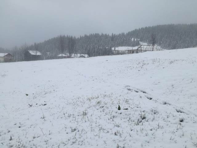 Doğu Karadeniz'de mayıs ayında kar yağdı 4