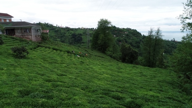 Onlara sokağa çıkma yasağı yok! Güneş doğmadan yola koyuldular 15
