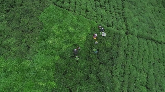 Onlara sokağa çıkma yasağı yok! Güneş doğmadan yola koyuldular 9