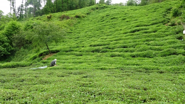 Onlara sokağa çıkma yasağı yok! Güneş doğmadan yola koyuldular 16