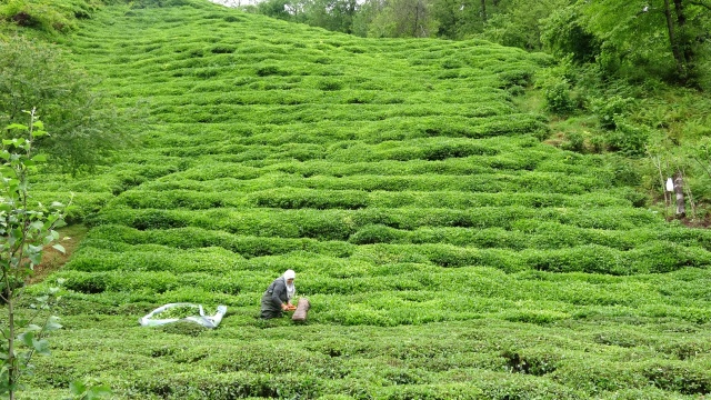 Onlara sokağa çıkma yasağı yok! Güneş doğmadan yola koyuldular 10