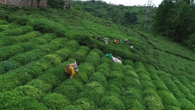 Onlara sokağa çıkma yasağı yok! Güneş doğmadan yola koyuldular 6