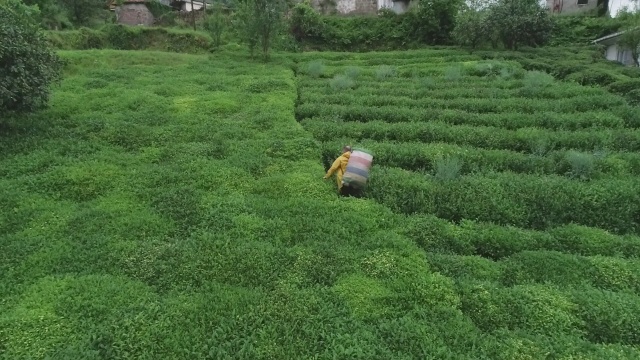 Onlara sokağa çıkma yasağı yok! Güneş doğmadan yola koyuldular 4