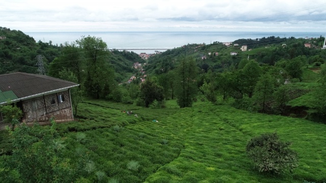 Onlara sokağa çıkma yasağı yok! Güneş doğmadan yola koyuldular 7