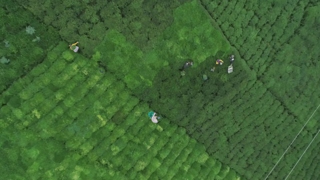 Onlara sokağa çıkma yasağı yok! Güneş doğmadan yola koyuldular 2