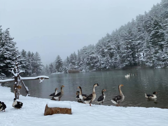 Limni gölü beyaza büründü 5