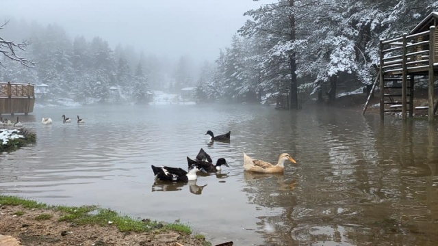 Limni gölü beyaza büründü 2