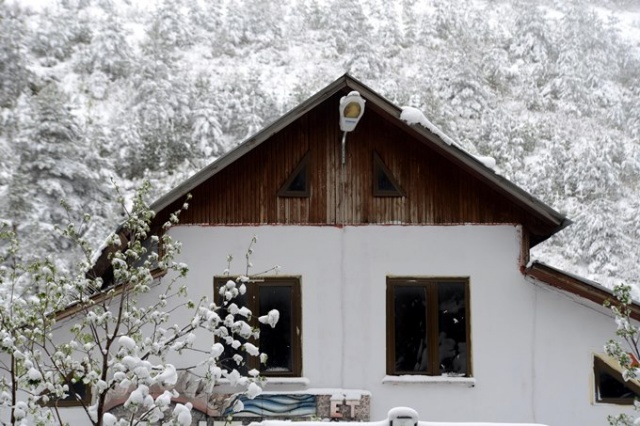 Doğu Karadeniz'de mayıs karı güzelliği. 11
