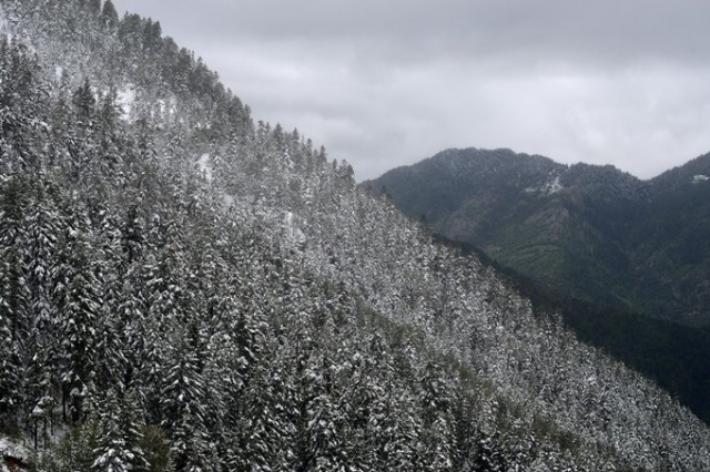 Doğu Karadeniz'de mayıs karı güzelliği. 15