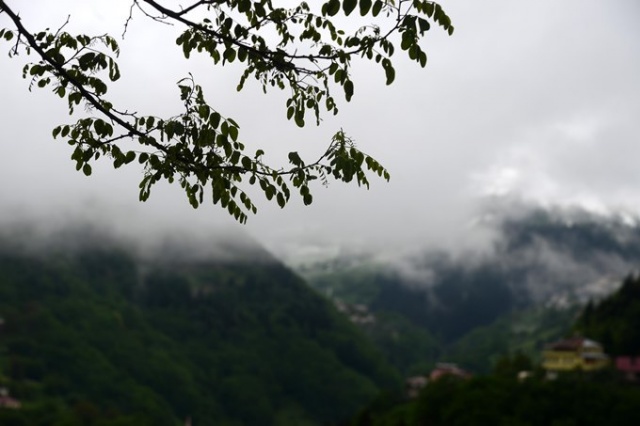 Doğu Karadeniz'de mayıs karı güzelliği. 12