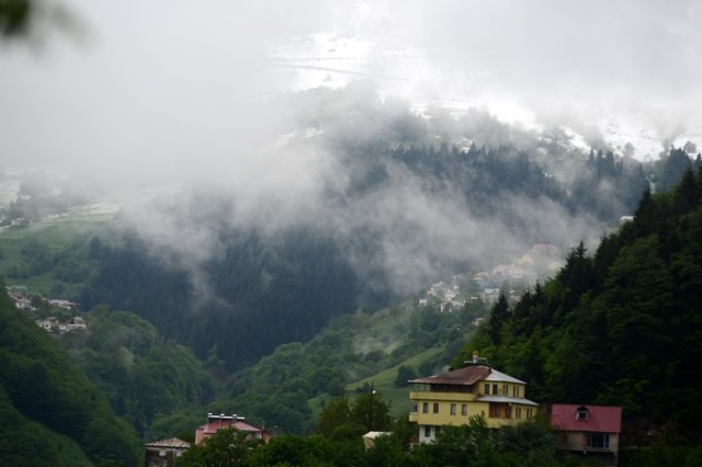 Doğu Karadeniz'de mayıs karı güzelliği. 16
