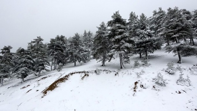 Doğu Karadeniz'de mayıs karı güzelliği. 3