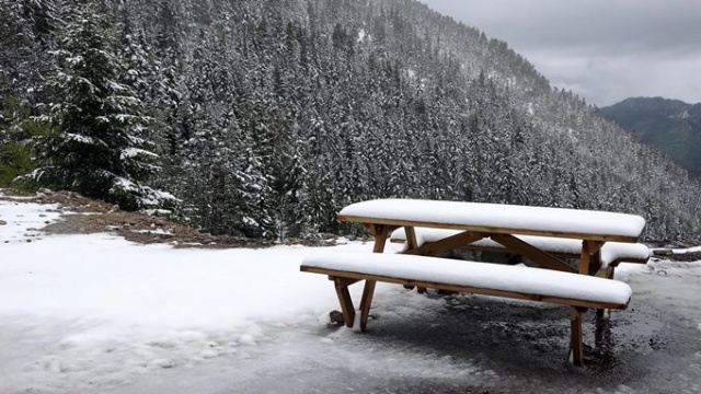 Doğu Karadeniz'de mayıs karı güzelliği. 10